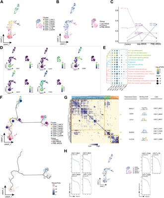 Single-cell analysis reveals dysregulated inflammatory response in peripheral blood immunity in patients with acute respiratory distress syndrome